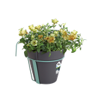 loft urban balkon potholder anthracite